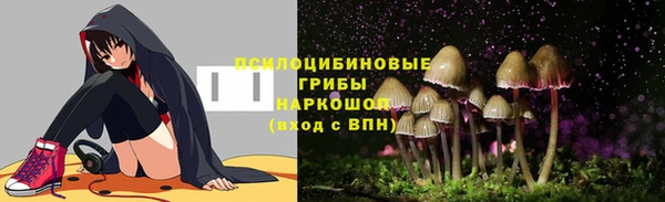 дживик Верея