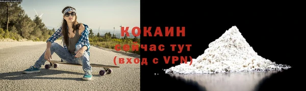 дживик Верея