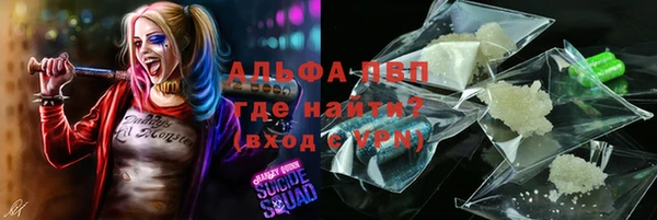 дживик Верея