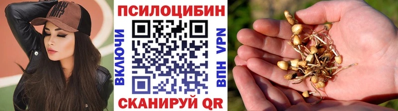 Галлюциногенные грибы Psilocybe  Владикавказ 